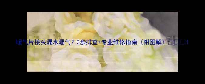 暖气片接头漏水漏气3步排查专业维修指南附图解