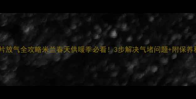 图片 暖气片放气全攻略米兰春天供暖季必看！3步解决气堵问题+附保养秘籍2
