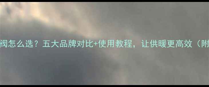 图片 暖气片放气阀怎么选？五大品牌对比+使用教程，让供暖更高效（附选购清单）