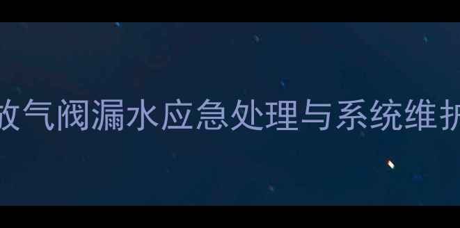 暖气片放气阀漏水应急处理与系统维护全攻略