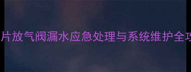 图片 暖气片放气阀漏水应急处理与系统维护全攻略1
