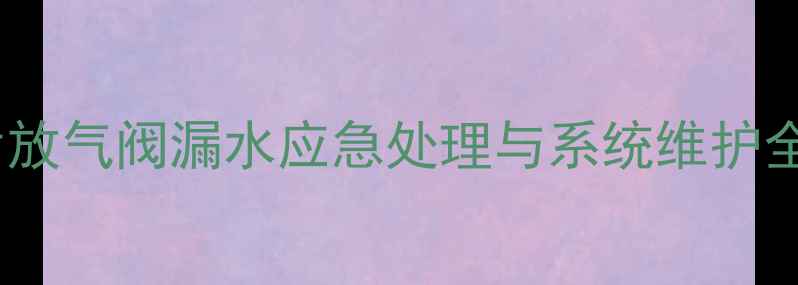 图片 暖气片放气阀漏水应急处理与系统维护全攻略2