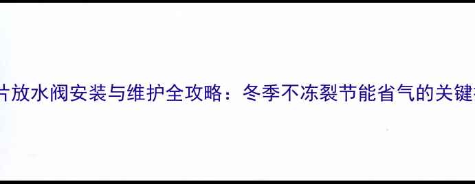 图片 暖气片放水阀安装与维护全攻略：冬季不冻裂节能省气的关键技巧1