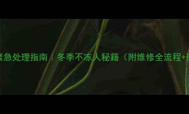 暖气片故障5大紧急处理指南冬季不冻人秘籍附维修全流程预防保养技巧