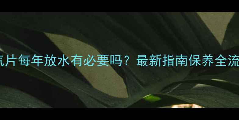 暖气片每年放水有必要吗最新指南保养全流程