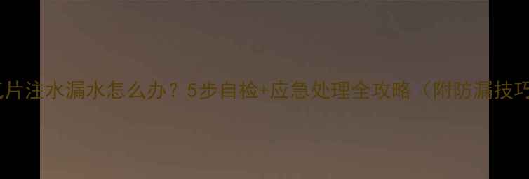 图片 暖气片注水漏水怎么办？5步自检+应急处理全攻略（附防漏技巧）2