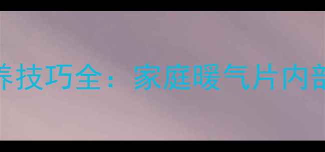 暖气片清洗步骤与保养技巧全家庭暖气片内部清洁方法及注意事项
