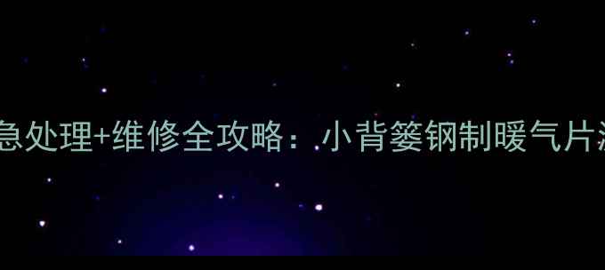 图片 暖气片渗水应急处理+维修全攻略：小背篓钢制暖气片漏水怎么办？1