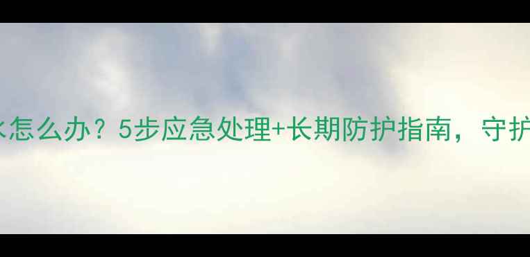 图片 暖气片渗水怎么办？5步应急处理+长期防护指南，守护冬季温暖1