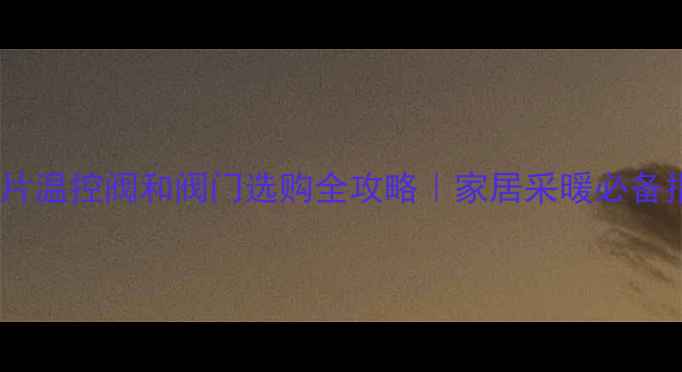 暖气片温控阀和阀门选购全攻略家居采暖必备指南