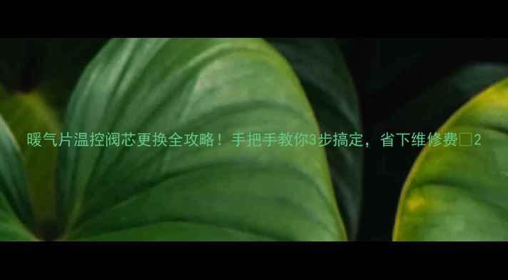 图片 暖气片温控阀芯更换全攻略！手把手教你3步搞定，省下维修费💰2