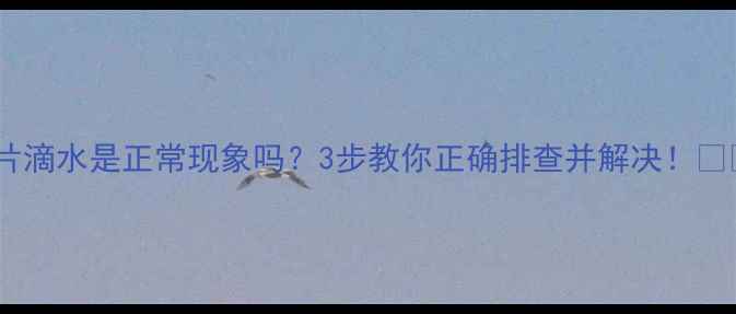 图片 暖气片滴水是正常现象吗？3步教你正确排查并解决！❄️🔧1