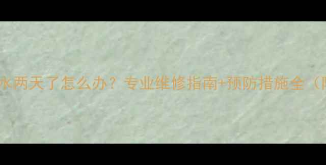 暖气片漏水两天了怎么办专业维修指南预防措施全附图解