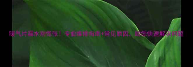 图片 暖气片漏水别慌张！专业维修指南+常见原因，助您快速解决问题