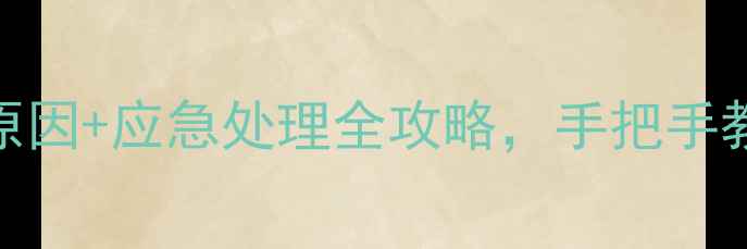 图片 暖气片漏水别慌！5大原因+应急处理全攻略，手把手教你避免冬季供暖危机1