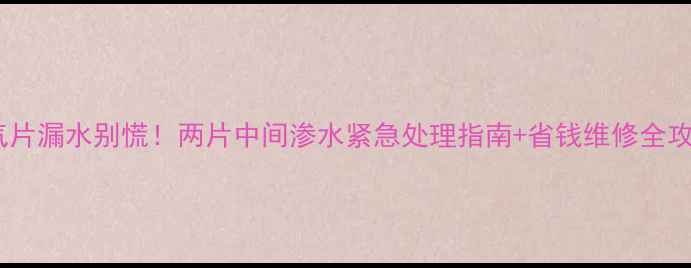 图片 暖气片漏水别慌！两片中间渗水紧急处理指南+省钱维修全攻略2
