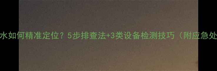 图片 暖气片漏水如何精准定位？5步排查法+3类设备检测技巧（附应急处理指南）
