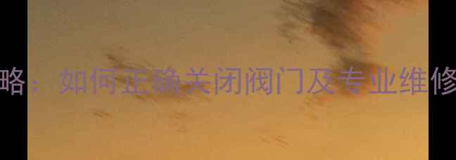 暖气片漏水应急处理全攻略如何正确关闭阀门及专业维修指南含图文操作演示