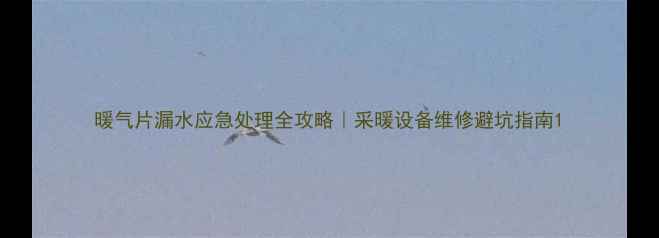 暖气片漏水应急处理全攻略采暖设备维修避坑指南
