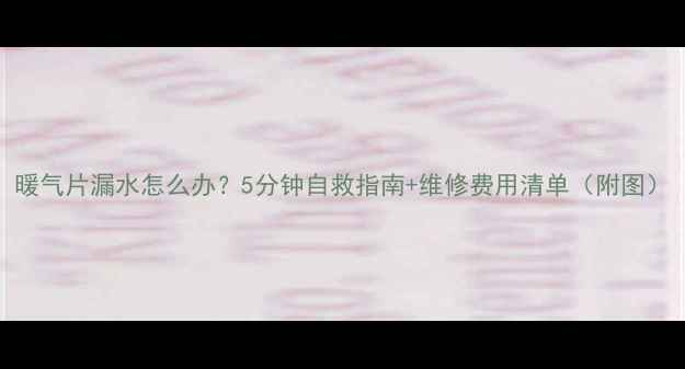 图片 暖气片漏水怎么办？5分钟自救指南+维修费用清单（附图）