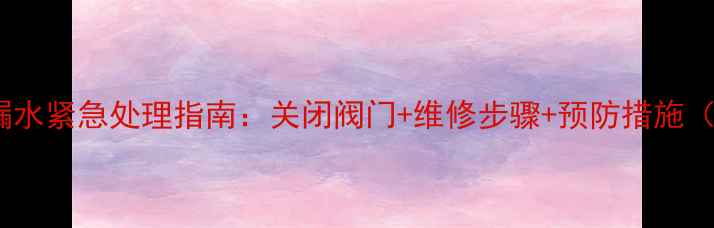 暖气片漏水紧急处理指南关闭阀门维修步骤预防措施附图
