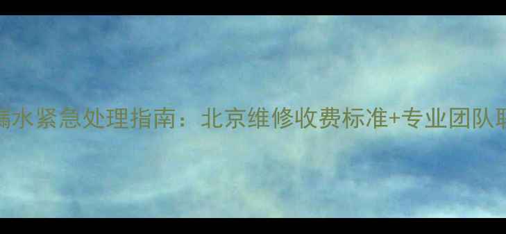 图片 暖气片漏水紧急处理指南：北京维修收费标准+专业团队联系方式