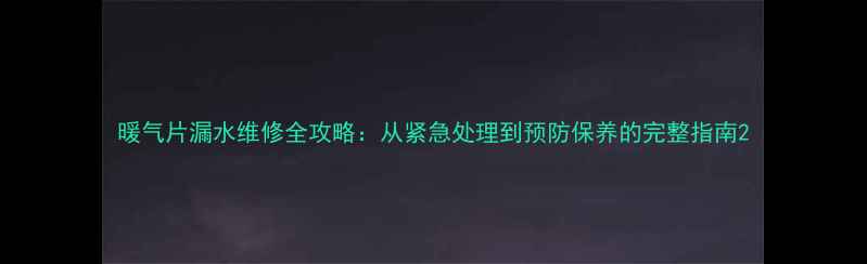 暖气片漏水维修全攻略从紧急处理到预防保养的完整指南