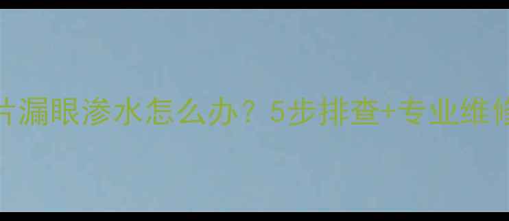 图片 暖气片漏眼渗水怎么办？5步排查+专业维修指南