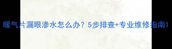 图片 暖气片漏眼渗水怎么办？5步排查+专业维修指南1