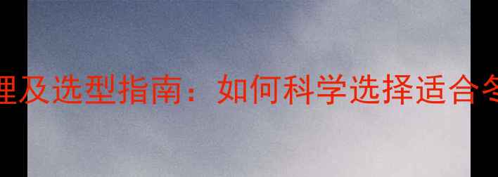 图片 暖气片的工作原理及选型指南：如何科学选择适合冬季采暖的设备？