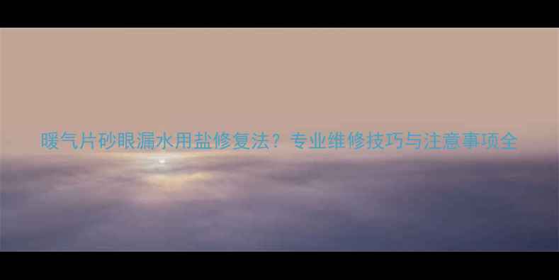 暖气片砂眼漏水用盐修复法专业维修技巧与注意事项全