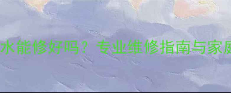 暖气片管道漏水能修好吗专业维修指南与家庭自修方案全