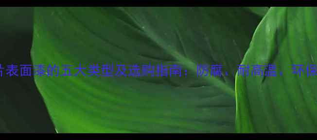 图片 暖气片表面漆的五大类型及选购指南：防腐、耐高温、环保漆全1