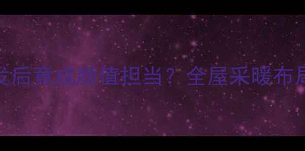 暖气片装沙发后竟成颜值担当全屋采暖布局这样做才对