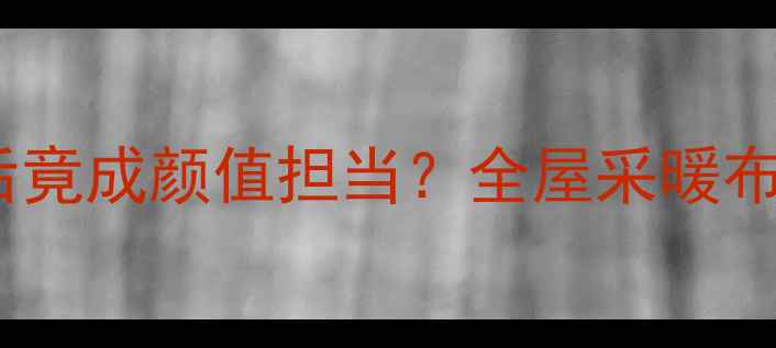 图片 暖气片装沙发后竟成颜值担当？全屋采暖布局这样做才对1