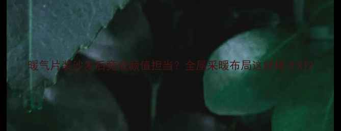 图片 暖气片装沙发后竟成颜值担当？全屋采暖布局这样做才对2