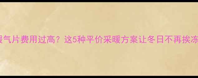 图片 暖气片费用过高？这5种平价采暖方案让冬日不再挨冻2