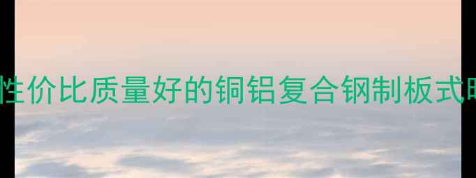 图片 暖气片选购全攻略：如何挑选高性价比质量好的铜铝复合钢制板式暖气片？附品牌对比与安装指南2