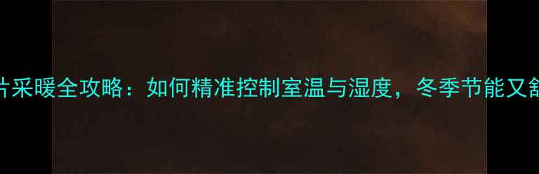 暖气片采暖全攻略如何精准控制室温与湿度冬季节能又舒适