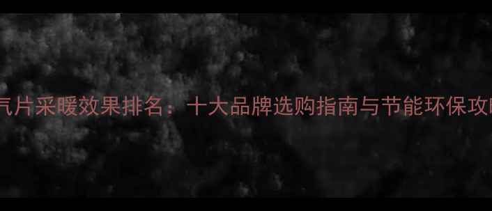 图片 暖气片采暖效果排名：十大品牌选购指南与节能环保攻略2