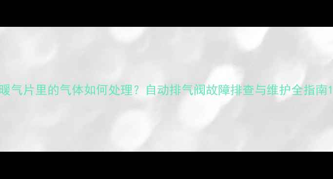图片 暖气片里的气体如何处理？自动排气阀故障排查与维护全指南1