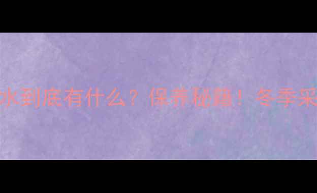 暖气片里的水到底有什么保养秘籍冬季采暖必备指南