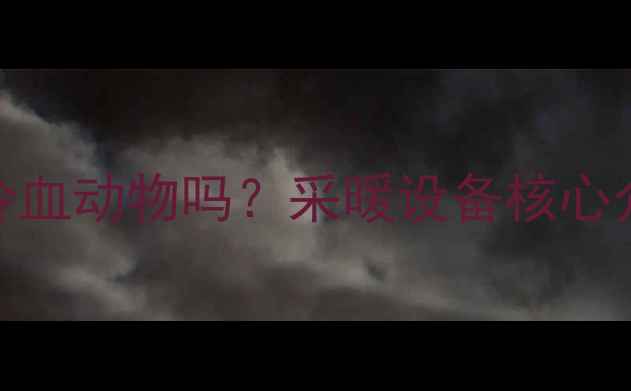 图片 暖气片里的水是冷血动物吗？采暖设备核心介质+养护全攻略1