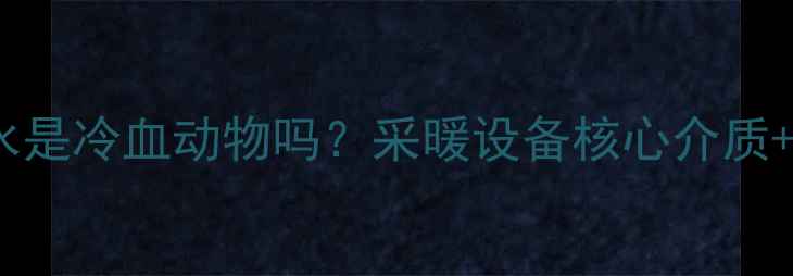 暖气片里的水是冷血动物吗采暖设备核心介质养护全攻略