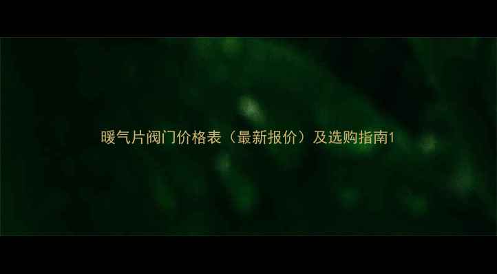 暖气片阀门价格表最新报价及选购指南