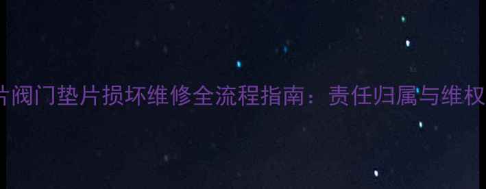 图片 暖气片阀门垫片损坏维修全流程指南：责任归属与维权途径1