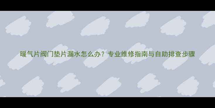 暖气片阀门垫片漏水怎么办专业维修指南与自助排查步骤