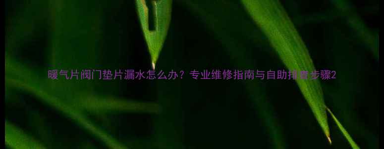 图片 暖气片阀门垫片漏水怎么办？专业维修指南与自助排查步骤2