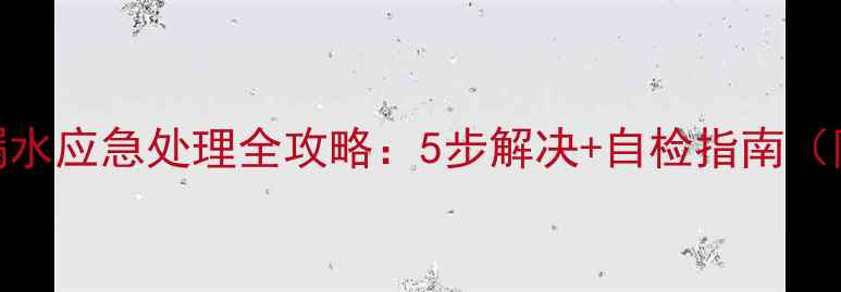图片 暖气片阀门漏水应急处理全攻略：5步解决+自检指南（附视频教程）