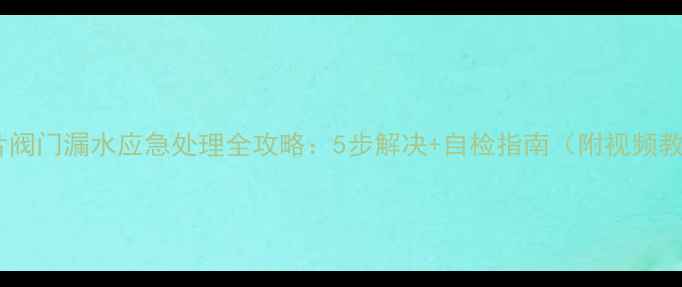 图片 暖气片阀门漏水应急处理全攻略：5步解决+自检指南（附视频教程）1